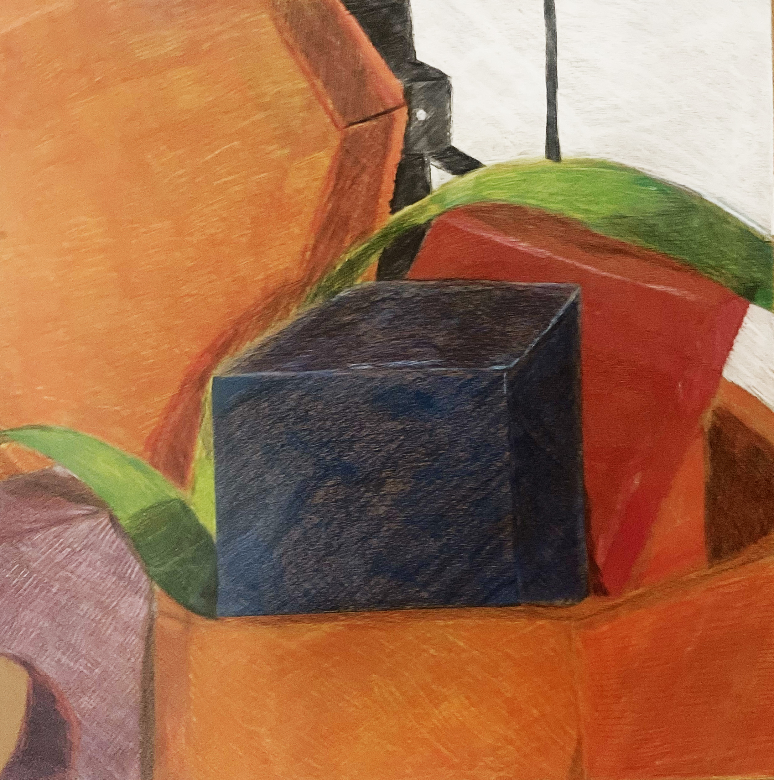 Traditional Art: charcoal and colored pencil still life drawings